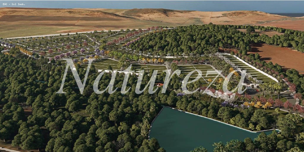 Terreno, 630 m² - Foto 4