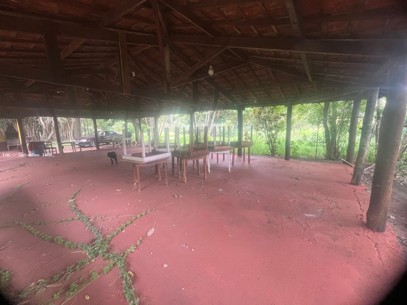 Chácara, 4 quartos, 5069 m² - Foto 2