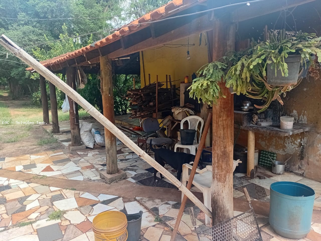 Chácara, 4 quartos, 5069 m² - Foto 13