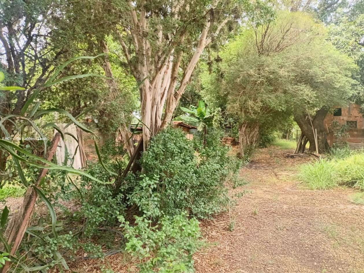 Chácara, 4 quartos, 5069 m² - Foto 23