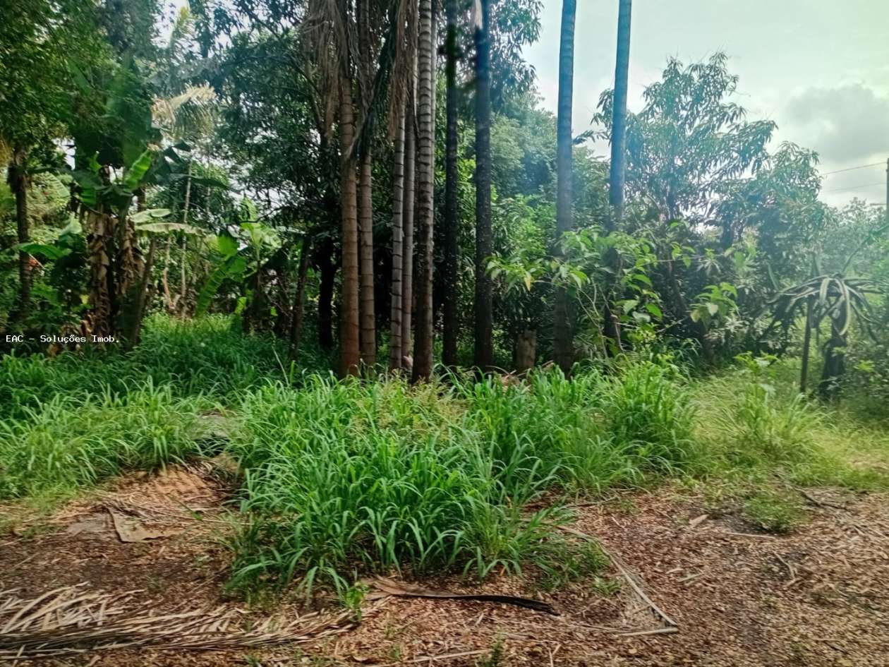 Chácara, 4 quartos, 5069 m² - Foto 25