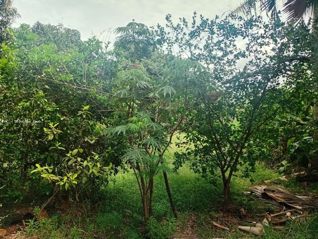 Chácara, 4 quartos, 5069 m² - Foto 27