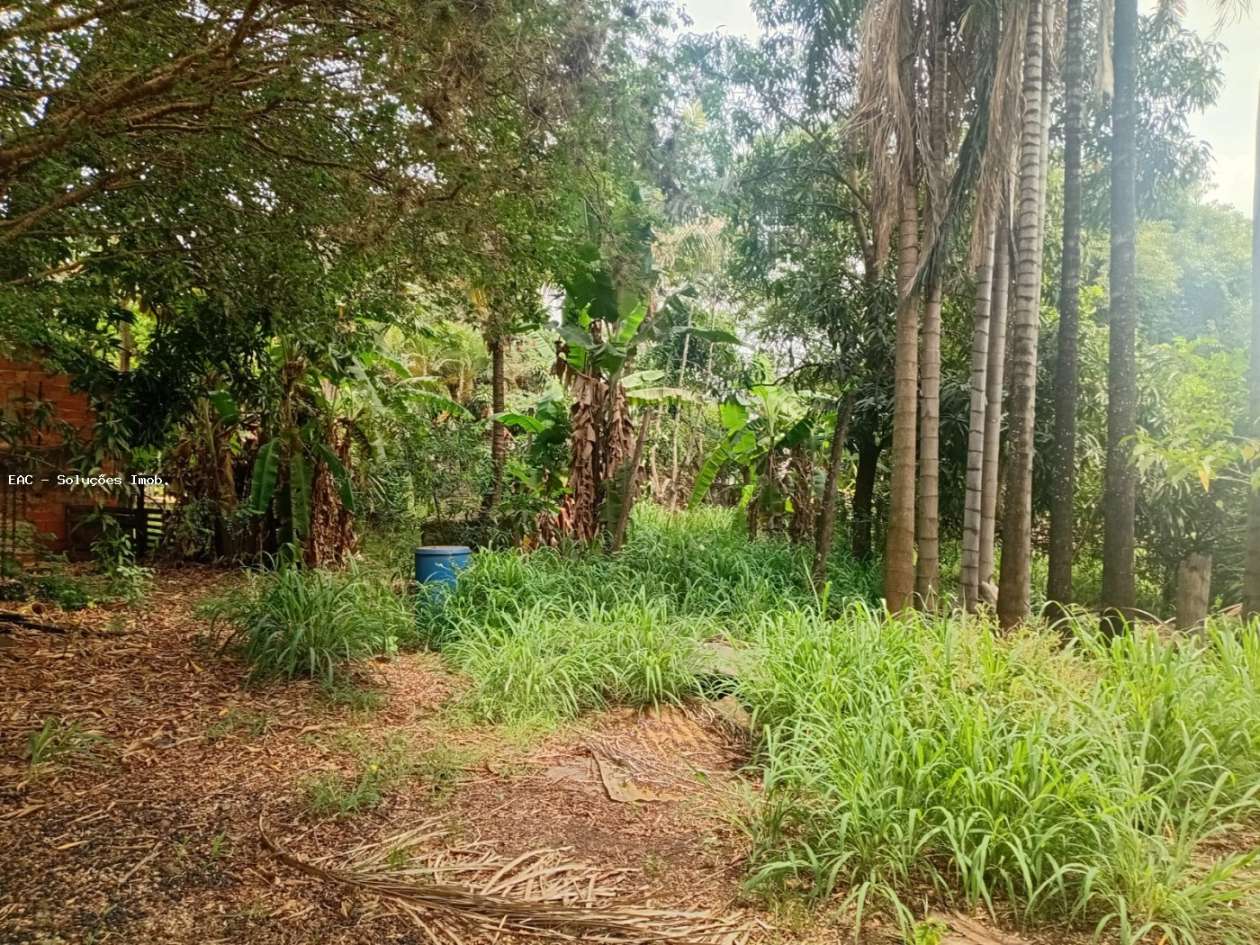 Chácara, 4 quartos, 5069 m² - Foto 28