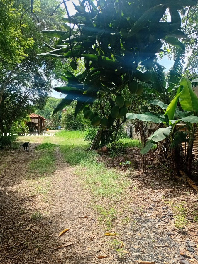 Chácara, 4 quartos, 5069 m² - Foto 32