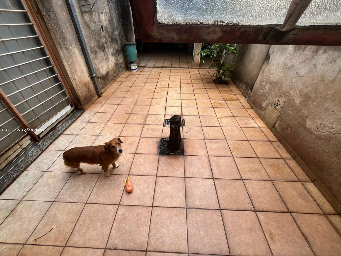 Casa, 3 quartos, 140 m² - Foto 26