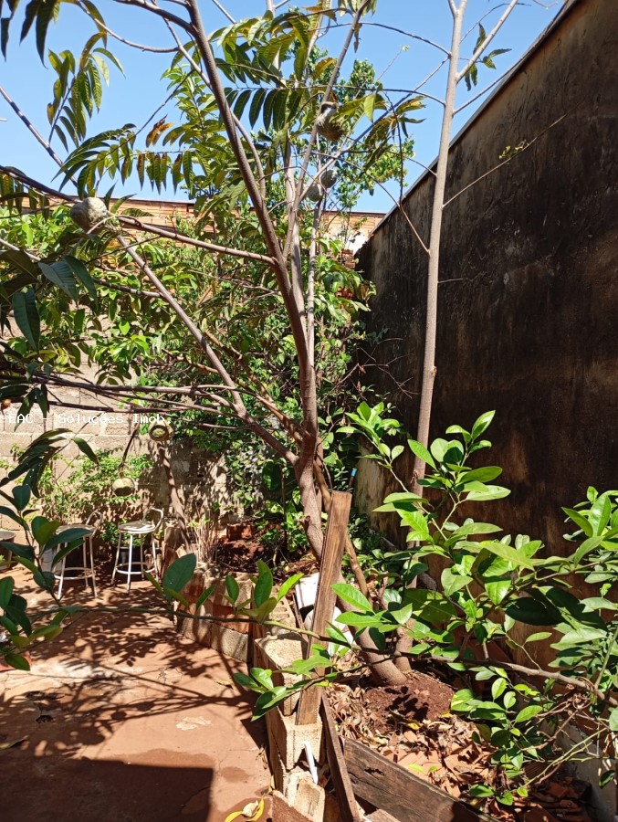Casa, 4 quartos, 154 m² - Foto 27