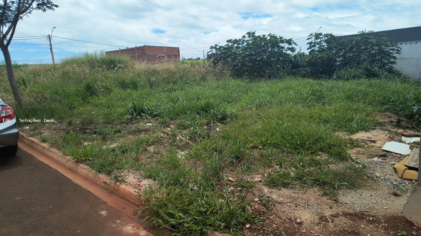 Terreno, 200 m² - Foto 6