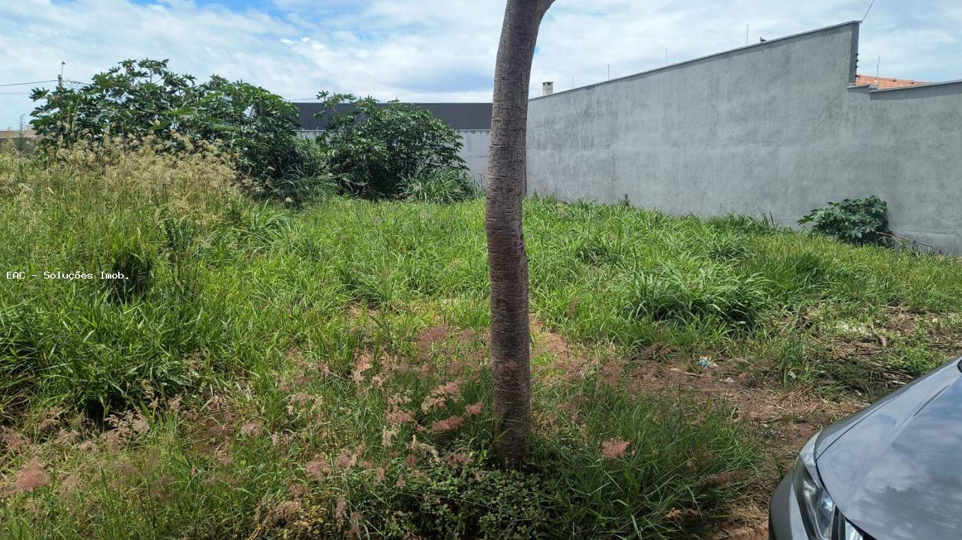 Terreno, 200 m² - Foto 1