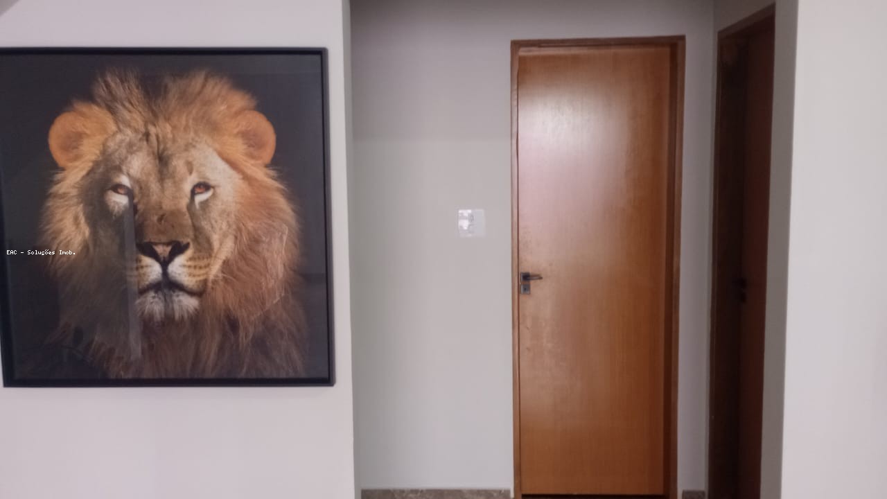 Casa, 4 quartos - Foto 4